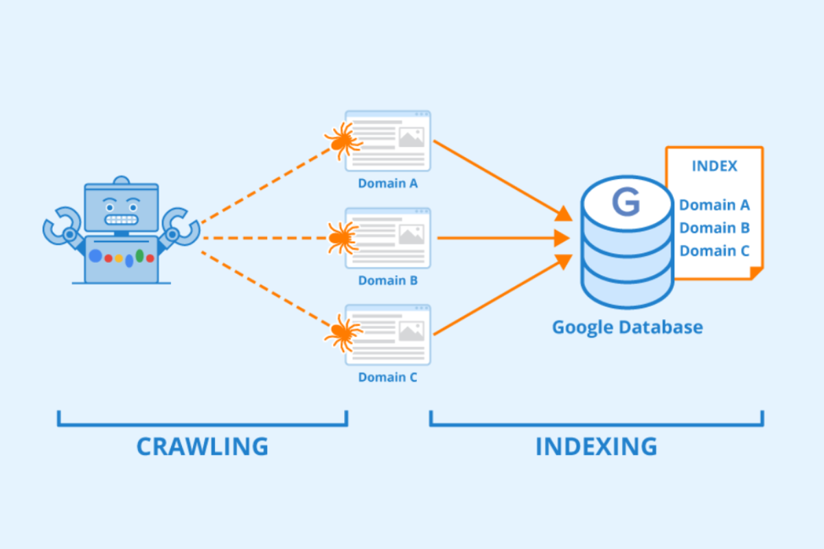 website indexing process