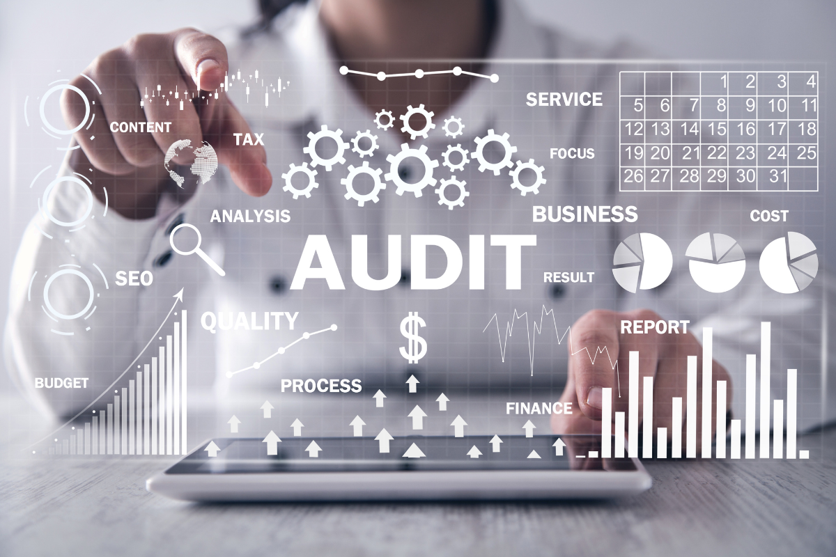 free seo audit